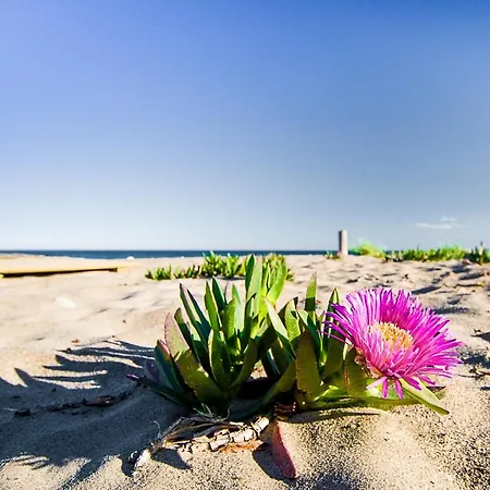 Veranda Mar *